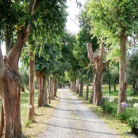 Lejlighed Locazione Turistica Agriturismo Ada Musso *